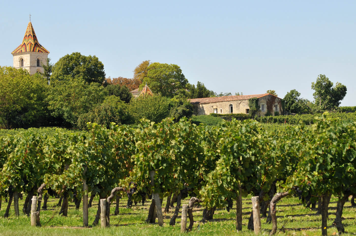 Vignobles et estuaire en Nouvelle-Aquitaine